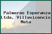 Palmeras Esperanza Ltda. Villavicencio Meta