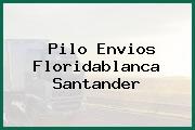 Pilo Envios Floridablanca Santander