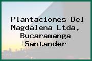 Plantaciones Del Magdalena Ltda. Bucaramanga Santander