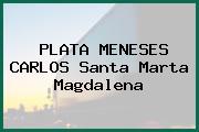PLATA MENESES CARLOS Santa Marta Magdalena