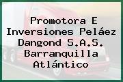 Promotora E Inversiones Peláez Dangond S.A.S. Barranquilla Atlántico