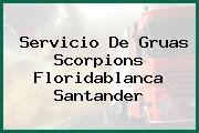 Servicio De Gruas Scorpions Floridablanca Santander