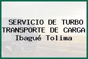 SERVICIO DE TURBO TRANSPORTE DE CARGA Ibagué Tolima