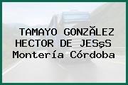 TAMAYO GONZÃLEZ HECTOR DE JESºS Montería Córdoba