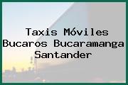 Taxis Móviles Bucaros Bucaramanga Santander