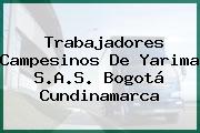Trabajadores Campesinos De Yarima S.A.S. Bogotá Cundinamarca