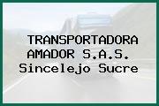 TRANSPORTADORA AMADOR S.A.S. Sincelejo Sucre