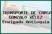TRANSPORTE DE CARGA GONZALO VÉLEZ Envigado Antioquia