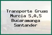 Transporte Gruas Murcia S.A.S Bucaramanga Santander