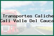 Transportes Caliche Cali Valle Del Cauca