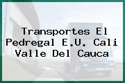 Transportes El Pedregal E.U. Cali Valle Del Cauca