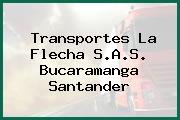 Transportes La Flecha S.A.S. Bucaramanga Santander