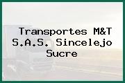 Transportes M&T S.A.S. Sincelejo Sucre