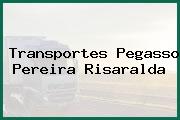 Transportes Pegasso Pereira Risaralda