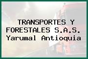 TRANSPORTES Y FORESTALES S.A.S. Yarumal Antioquia