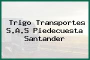 Trigo Transportes S.A.S Piedecuesta Santander