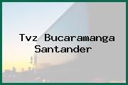 Tvz Bucaramanga Santander