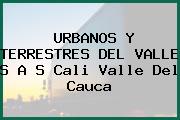 URBANOS Y TERRESTRES DEL VALLE S A S Cali Valle Del Cauca