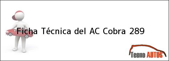 Ficha Técnica del <i>AC Cobra 289</i>
