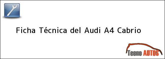 Ficha Técnica del <i>Audi A4 Cabrio</i>