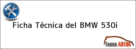 Ficha Técnica del <i>BMW 530i</i>