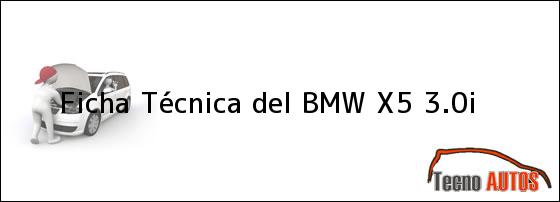 Ficha Técnica del <i>BMW X5 3.0i</i>
