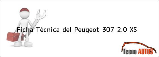 Ficha Técnica del <i>Peugeot 307 2.0 XS</i>