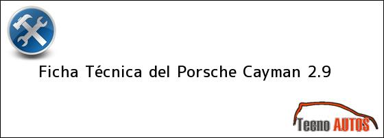 Ficha Técnica del <i>Porsche Cayman 2.9</i>