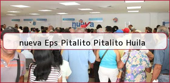 <b>nueva Eps Pitalito Pitalito Huila</b>