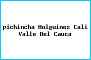 <i>pichincha Holguines Cali Valle Del Cauca</i>