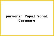 <i>porvenir Yopal Yopal Casanare</i>