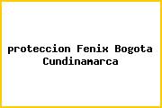 <i>proteccion Fenix Bogota Cundinamarca</i>