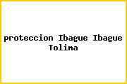 <i>proteccion Ibague Ibague Tolima</i>