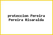 <i>proteccion Pereira Pereira Risaralda</i>