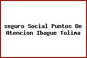 <i>seguro Social Puntos De Atencion Ibague Tolima</i>