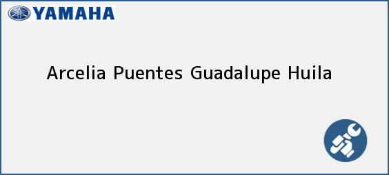 Teléfono, Dirección y otros datos de contacto para Arcelia Puentes, Guadalupe, Huila, Colombia