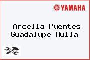 Arcelia Puentes Guadalupe Huila