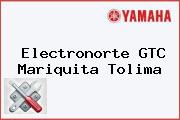 Electronorte GTC Mariquita Tolima