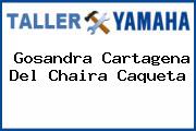 Gosandra Cartagena Del Chaira Caqueta