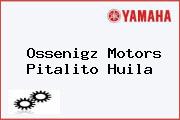 Ossenigz Motors Pitalito Huila