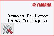 Yamaha De Urrao Urrao Antioquia