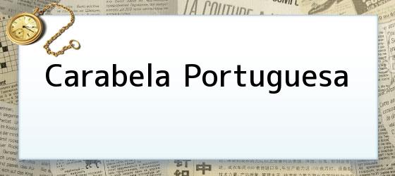 Carabela Portuguesa