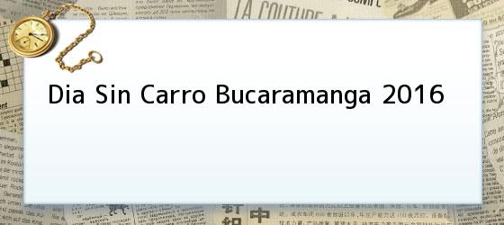Dia Sin Carro Bucaramanga 2016