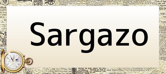 Sargazo