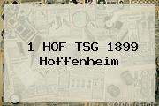 <b>1 HOF TSG 1899 Hoffenheim</b>
