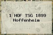 Ver 1 hof tsg 1899 hoffenheim <b>1 HOF TSG 1899 Hoffenheim</b>