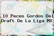10 Peces Gordos Del <b>Draft</b> De La Liga MX