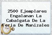 2500 Ejemplares Engalanan La Cabalgata De La <b>Feria De Manizales</b>