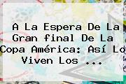 A La Espera De La Gran <b>final</b> De La <b>Copa América</b>: Así Lo Viven Los <b>...</b>