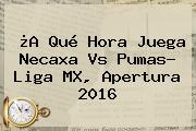 ¿A Qué Hora Juega <b>Necaxa Vs Pumas</b>? Liga MX, Apertura 2016